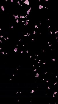 Falling Cherry Blossoms Alpha, Soft sakura petals fall gently, perfect for ads or wedding videos. Alpha Channel for easy editing. Download now to enhance your project