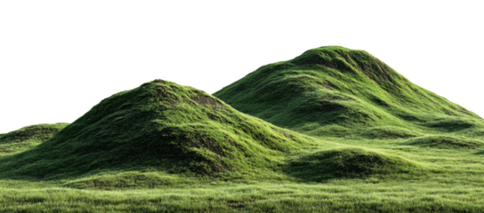 Lush green hills rise gently in a landscape