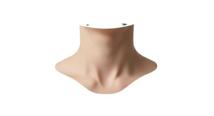 A front view of a human neck isolated on transparent background, showcasing skin texture, collarbones, and anatomical details for medical, beauty, and healthrelated concepts