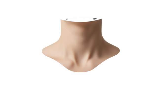 A front view of a human neck isolated on transparent background, showcasing skin texture, collarbones, and anatomical details for medical, beauty, and healthrelated concepts