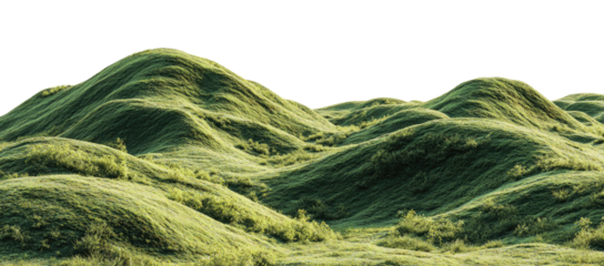 Rolling grassy hills stretch across a landscape