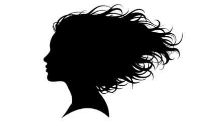 Silhouette of a womans head with flowing hair in black and white, a stylish and elegant portrait isolated on transparent background