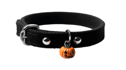 Festive black pet collar with a playful pumpkin charm for Halloween or fall pet fashion isolated on white background 