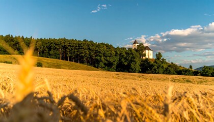 A golden wheat field stretches towards a picturesque church nestled atop a hill, bathed in the warm light of a summer day.