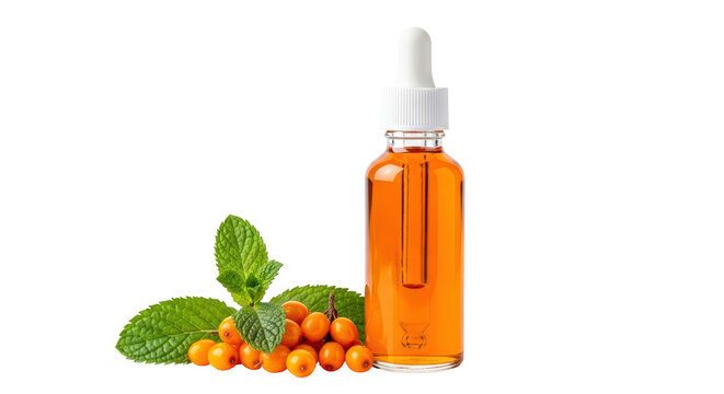 Isolated Sea Buckthorn Oil with Berries