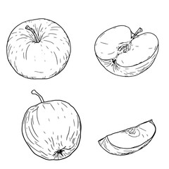 Apples on a twig with leaves, black and white sketch. Vector illustration. Fruits sliced into slices, a set of silhouettes isolated on a white background. The theme of autumn, harvest and vegetarianis