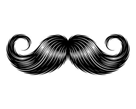 Classic black mustache with swirling ends