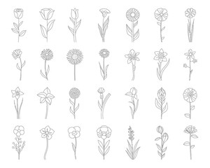 Collection of simple line art flower illustrations