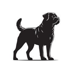 Powerful Rottweiler dog vector silhouette showcasing strength, loyalty, and bold stance in elegant black outline design, perfect for logos, pet art, digital graphics, and creative projects.
