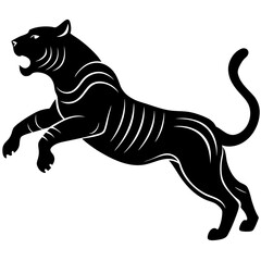 black and white tiger