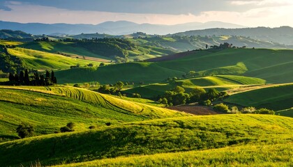 Fototapeta premium A sprawling landscape of rolling hills, vibrant with green meadows and hints of gold, displays a serene and peaceful scene under a soft, diffused light.