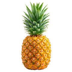 Fototapeta premium Ripe pineapple with a textured golden-yellow skin and vibrant green spiky leaves on top, showcasing the tropical fruit’s distinctive shape and color