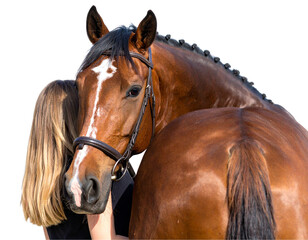 Beautiful chestnut horse with braided mane and a woman s blonde hair