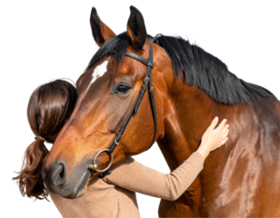 Young woman embracing her beautiful brown horse with affection and trust against a black background