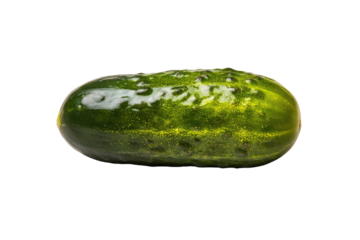 A whole dill pickle, glossy green skin