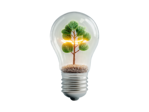 Light Bulb with Tree Inside for Eco-Friendly Concept Illustration - Powered by Adobe