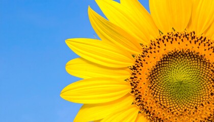 Naklejka premium A single, vibrant sunflower against a clear blue sky, providing ample, clean copy space. An energetic and positive image for summer or nature concepts