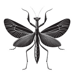 black praying mantis Silhouette Vector, High Quality Illustration on White Background