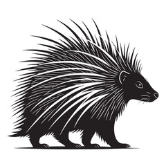 black porcupine Silhouette Vector, High Quality Illustration on White Background
