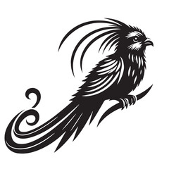 black Quetzal Silhouette Vector, High Quality Illustration on White Background