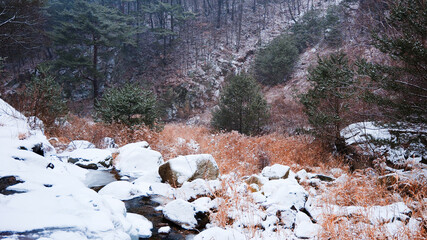 snow covered rocks