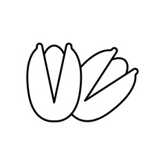 Pistachio Nut Line Icon: Food and Snack