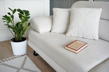  Scandinavian Style Living Space with White Sofa, Decorative Pillows, Potted Plant, and Book