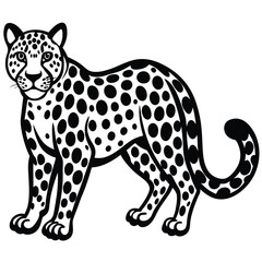 leopard vector animal