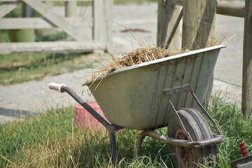 wheelbarrow in a garden