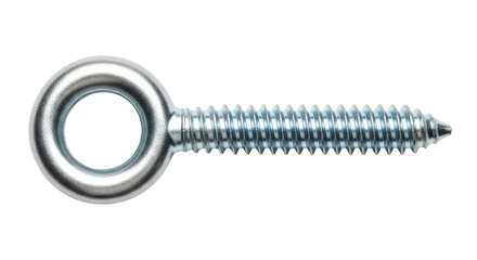 Isolated Metal Eye Bolt Screw