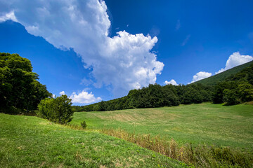 Panoramic view of Apennine Mountains, verdant meadow stretching beneath leafy forest under...