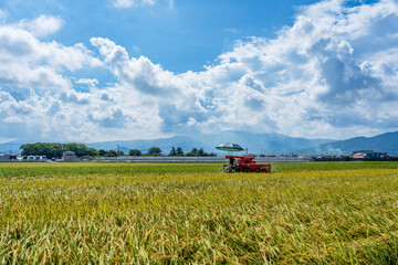 コンバインでの稲刈り風景