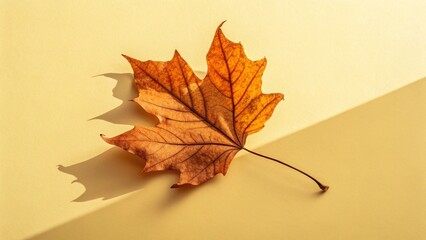 Fototapeta premium Minimalist Autumn Leaf on Pastel Yellow Background