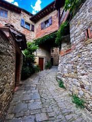 Narrow cobblestone pathway lined with greenery, passing historic stone dwellings in medieval...