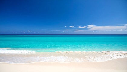 Fototapeta premium Tropical beach scene