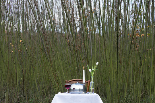 Dinner for one, laid table