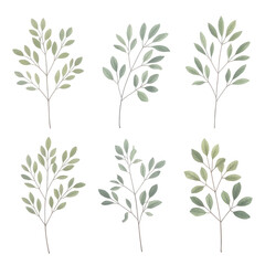 Fototapeta premium Elegant botanical branch illustrations isolated on transparent background