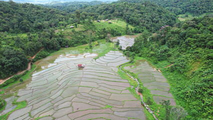 Aerial landscape view of rice terrace and mountain views
