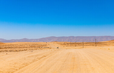 Arid landscape in the Richtersveld National Park