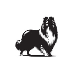 Shetland Sheepdog vector silhouette, elegant herding breed outline, loyal companion design, fluffy fur contour, intelligent posture, canine graphic art, dog lover emblem, minimal modern editable illus