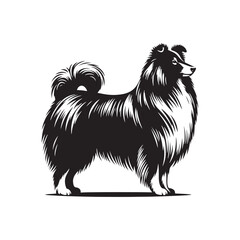 Shetland Sheepdog vector silhouette, elegant herding breed outline, loyal companion design, fluffy fur contour, intelligent posture, canine graphic art, dog lover emblem, minimal modern editable illus