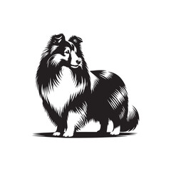 Shetland Sheepdog vector silhouette, elegant herding breed outline, loyal companion design, fluffy fur contour, intelligent posture, canine graphic art, dog lover emblem, minimal modern editable illus