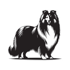 Shetland Sheepdog vector silhouette, elegant herding breed outline, loyal companion design, fluffy fur contour, intelligent posture, canine graphic art, dog lover emblem, minimal modern editable illus