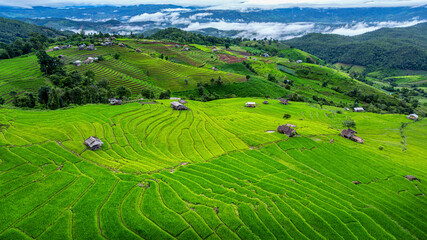 Aerial view of Rice terrace at Ban pa bong piang in Chiang mai, Thailand.