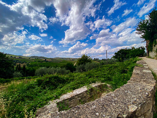 Verdant Chianti landscape revealing rolling hills, lush vineyards, and silvery olive groves beneath...