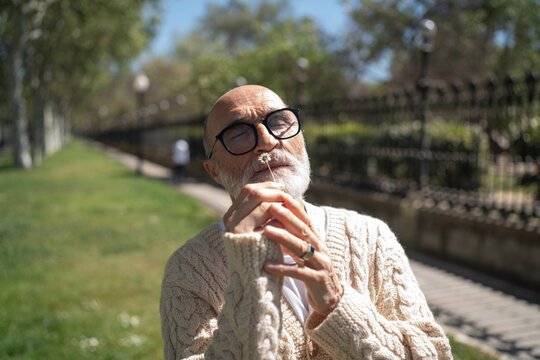 Senior man wearing eyeglasses and smelling small flower on sunny day