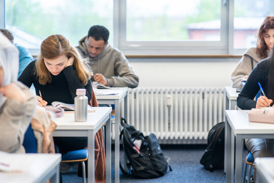 Students in a multicultural classroom engaged in an international language course