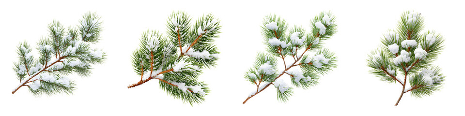 Snow Covered Pine Branches Set - Winter Holiday Decoration