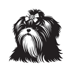 "Elegant Shih Tzu Vector Silhouette Artwork Featuring Distinctive Toy Dog Breed Outline, Fluffy Fur, Loyal Pet Companion Design for Logos, Prints, Clipart, Home Décor, and Creative Projects"
