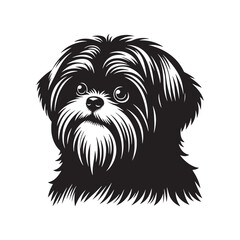 "Elegant Shih Tzu Vector Silhouette Artwork Featuring Distinctive Toy Dog Breed Outline, Fluffy Fur, Loyal Pet Companion Design for Logos, Prints, Clipart, Home Décor, and Creative Projects"
